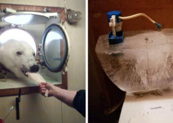 20 fénykép, mely bebizonyítja, hogy a tél mindig látványos pillanatokat hagy maga után