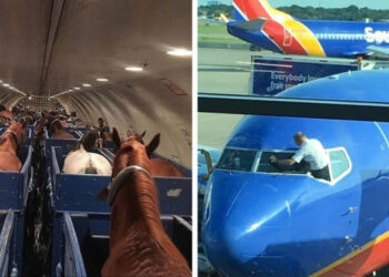 Az internetezők megosztották, hogy milyen váratlan pillanatokkal találkoztak repülés alatt