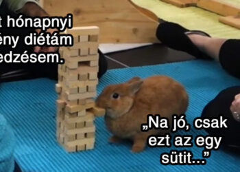 21 fogyókúrázással kapcsolatos mém, mely többet mond minden szónál