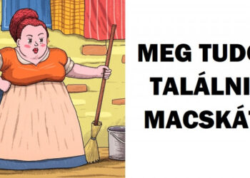 12 képeslap titkos részletekkel, hogy teszteld az éleslátásod