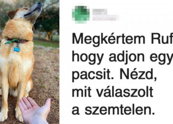 20 bolyhos pofa, akiknek a kiszámíthatatlanságát fotók is bizonyítják