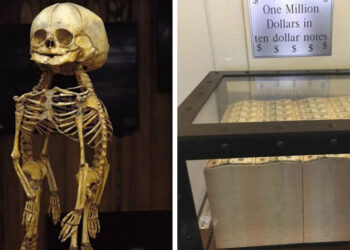 20+ internetező megosztotta azokat a dolgokat, melyeket millióból csak egy személy láthat személyesen