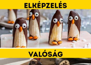 20 konyhai katasztrófa, melytől a legjobb szakácsoknak könnybe lábadnak a szemei