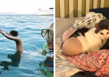 20 bonyolult kép, mely könnyedén megtréfálja a látásod, hogyha nem figyelsz