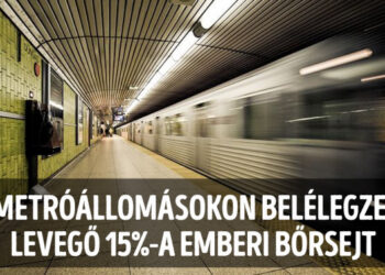 21 bizarr tény és statisztika, amelyet bárcsak sosem tudtunk volna