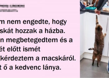 20 alkalom, mikor a férfiak nem akartak háziállatokat, de végül nem tudtak nélkülük élni
