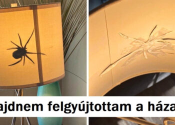 17 fotó, ami bizonyítja, hogy az élet félelmesebb lehet, mint bármelyik horror film