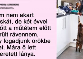 20 alkalom, mikor a férfiak ellenezték a háziállatokat, de most már nem tudnak élni nélkülük