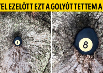 24 furcsa fénykép, mely bebizonyítja, hogy a világunk tele van csodákkal