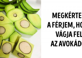 20 személy, aki igazán különleges kapcsolatot ápol a gasztronómia világával