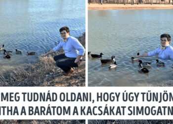 Egy Photoshop-mester szó szerint teljesíti a rajongók kéréseit, de ettől függetlenül még nem azt kapják, amire várnak