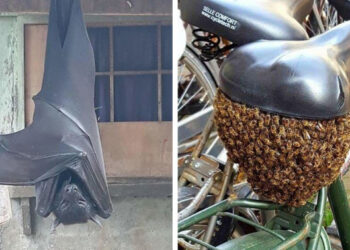 20 alkalom, mikor az anyatermészet rémisztőbb volt, mint bármely horror film