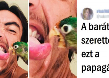 15+ felvétel, ami bizonyítja, hogy senki sincs biztonságban a rossz napoktól