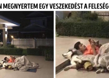 18 kép, amelyen több a dráma, mint egy brazil szappanoperában