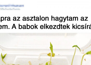 20 fénykép, mely kiváló minőségű hamisítványnak tűnik, pedig teljesen valódi