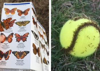 21 tökéletes véletlen, amely igazolja, hogy a sorsnak remek a humorérzéke