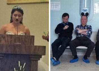 20 felvétel, amely azt mutatja, hogy az érdekes fényképekhez a megfelelő pillanat a legfontosabb