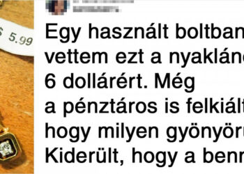 20 személy, akinek sikerült különleges kincset vásárolnia aprópénzért