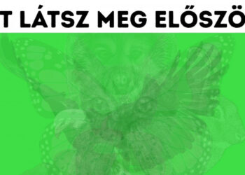 Az állat, amelyet először meglátsz a képen, sok mindent elárul a személyiségedről