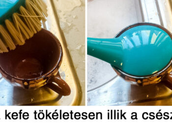 16 felvétel, mely Zen mester szintre emel a tökéletességével