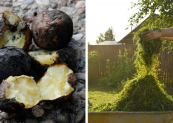 20 fotó, aminek illata van! Gyere, és nosztalgiázz velünk