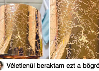 18 fénykép, amelyen sokkal több van, mint ami első pillantásra látszik