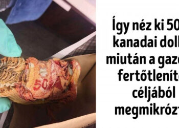 20 alkalom, mikor az emberek igazán nagy hülyeséget csináltak a koronavírus alatt