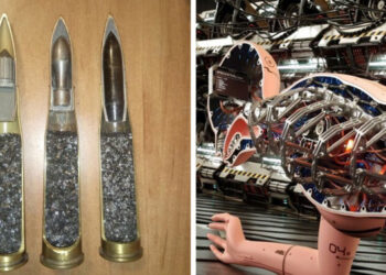 A dolgok különleges oldala: 20 félbevágott tárgy