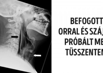 21 tanulságos kép, amelynek az iskolai tankönyvekben is benne lenne a helye