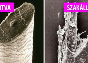 20+ dolog és különbség, amelyet szabad szemmel sosem láthatnánk