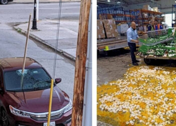 15 kép emberi katasztrófákról, amikhez képest a mi problémáink nevetségesnek tűnnek