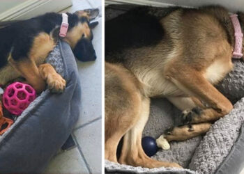 20+ fotó, mely azt mutatja, hogy egyes dolgok soha nem változnak