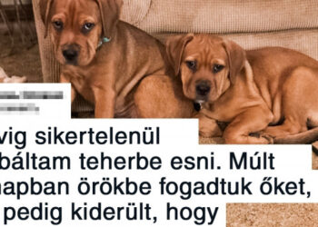 17 erőteljes felvétel, melytől gyorsabbá válik a szívverésed