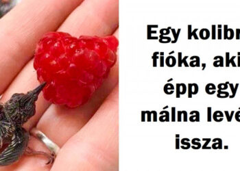 20 fotó, mely olyan, mint egy békés oázis a káosz világában