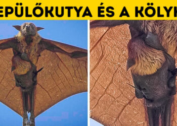 Az anyatermészet 18 látványos alkotása, amelyet művészi gondossággal hozott létre