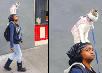 24 felvétel, mely piszkosul összezavarta az internetezőket