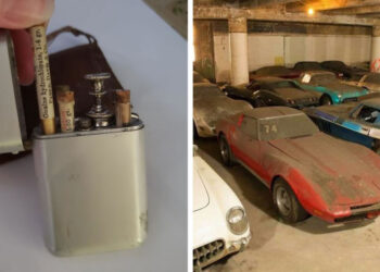 20+ csodálatos eset, mikor ez emberek elképesztő antik régiségekre bukkantak