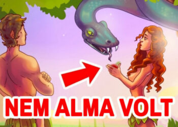 24 népszerű tévhit, amelyet sokszor még az iskolában is rosszul tanítanak