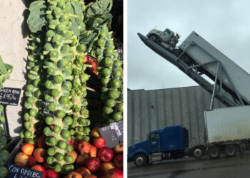 18 bizonyíték rá, hogy nem minden úgy zajlik a világban, ahogy azt mi gondoltuk