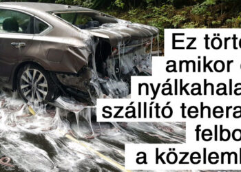 20 felvétel, amely azonnali magyarázatot igényel és szerencsére tudunk is vele szolgálni