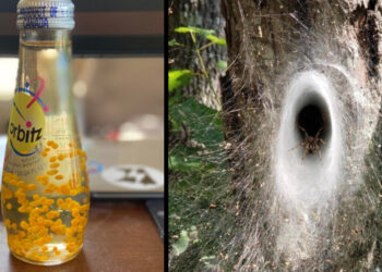 21 alak, aki olyan dolgokra bukkant, amelyet csak millióból egy embernek van szerencséje személyesen látni