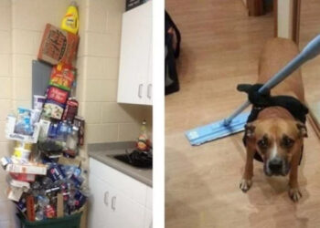 18 lusta alak, akit nem érdekel, hogy mit gondolnak róla mások