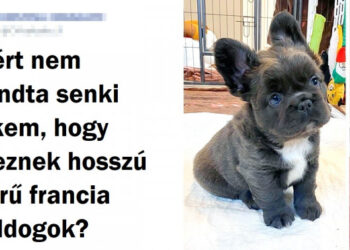 20+ fotó, mely közelebb visz ahhoz az elhatározáshoz, hogy be kell szerezned egy kutyát