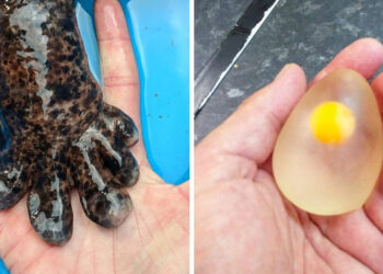 24 felvétel, mely alig 5 perc alatt segít kibővíteni a világgal kapcsolatos ismereteidet