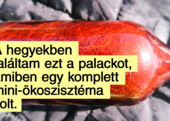 21 különleges dolog, amelyre egészen véletlenül bukkantak az internetezők, és rohantak eldicsekedni vele
