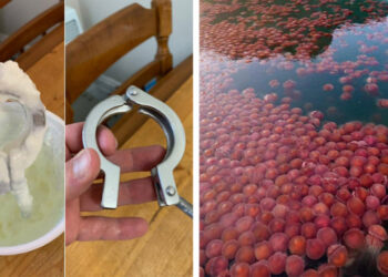 21 ritka dolog, amit csak minden milliomodik ember láthat személyesen