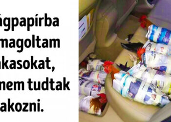 Ez a 21 személy bármilyen problémát képes megoldani!