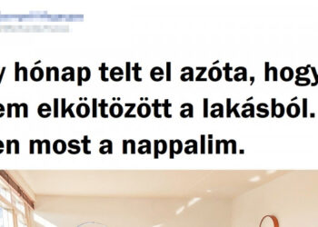 20+ srác, akik bebizonyítják, hogy a férfibarlang is lehet rendkívül barátságos