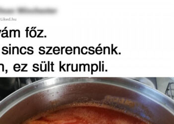 18 személy, akik rendkívül szeretnek főzni, csak nem tudnak