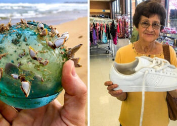 18 bizarr felfedezés, ami még a tudósokat is zavarba ejtheti